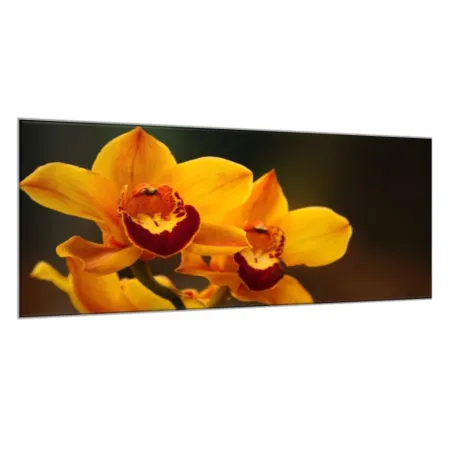 Obraz skleněný oranžový květ orchideje