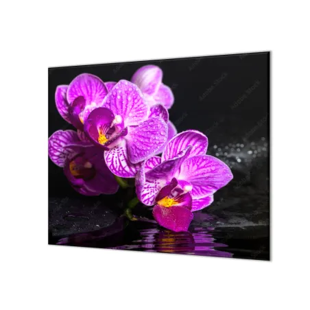 Ochranná deska květ orchideje na zen kameni 60x52cm